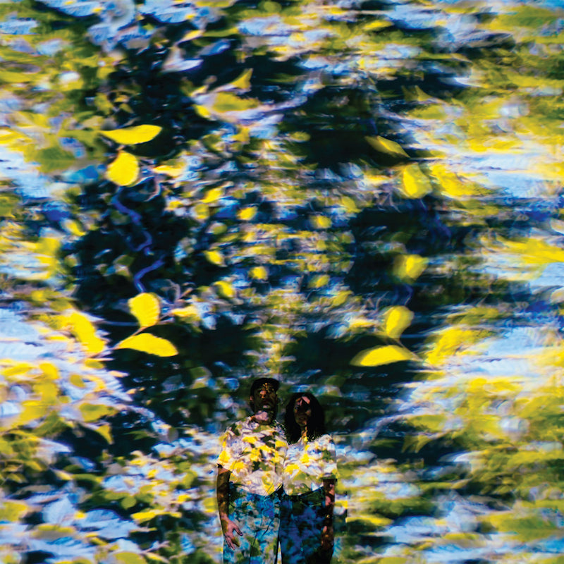 Chaton Laveur - Labyrinthe (CD) - Velvet Music