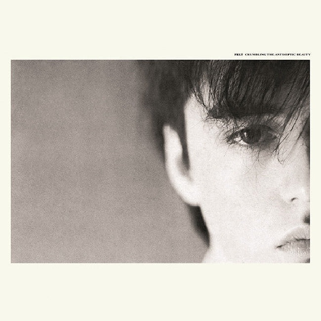 Felt - Crumbling the antiseptic (LP) - Velvet Music