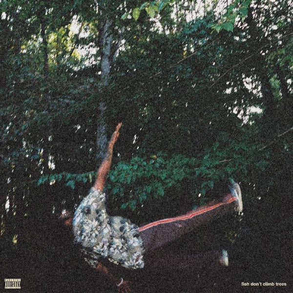 Chester Watson - Fish don't climb trees (LP) - Velvet Music