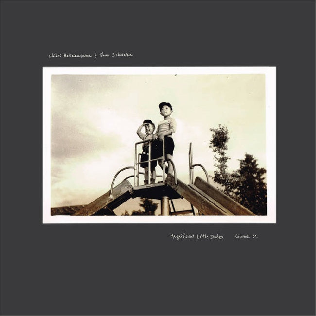 Chihei Hatakeyama & Shun Ishiwaka - Magnificent little dudes vol. 1 (LP)