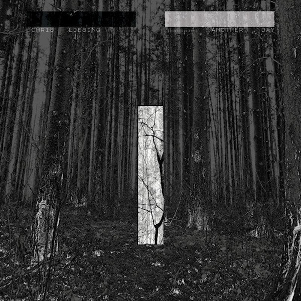 Chris Liebing - Another day (CD) - Velvet Music