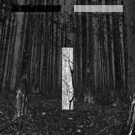 Chris Liebing - Another day (LP) - Velvet Music