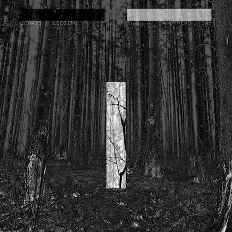 Chris Liebing - Another day (LP) - Velvet Music
