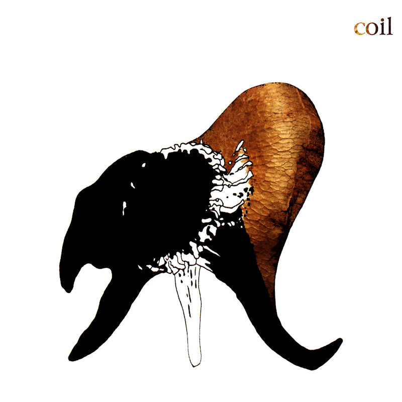 Coil - Black antlers (CD) - Velvet Music