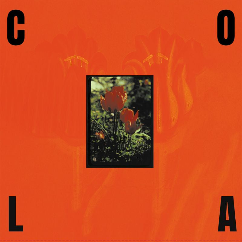 Cola (19) - The Gloss (LP) - Velvet Music