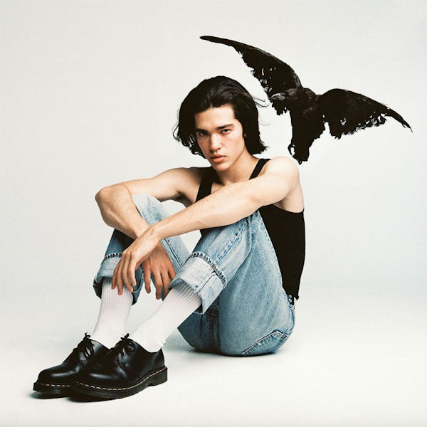 Conan Gray - Kid krow (LP) - Velvet Music