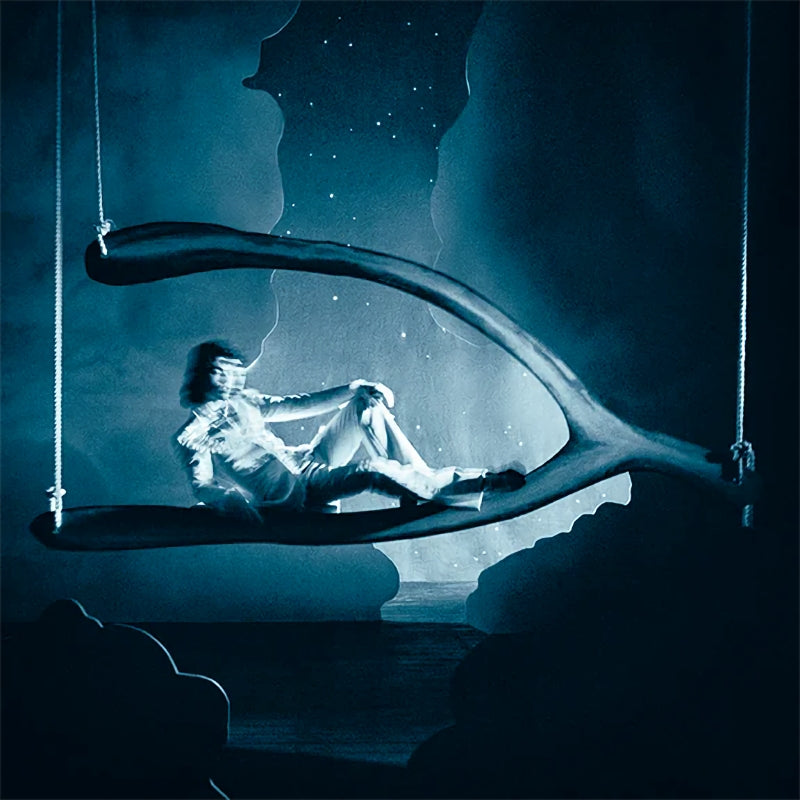 Conan Gray - Wishbone deluxe (LP)