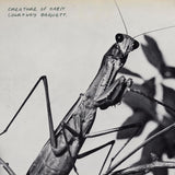 Courtney Barnett - Creature of habit (Coloured Vinyl LP) - Velvet Music