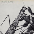 Courtney Barnett - Creature Of Habit (CD) - Velvet Music
