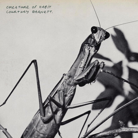 Courtney Barnett - Creature Of Habit (CD) - Velvet Music