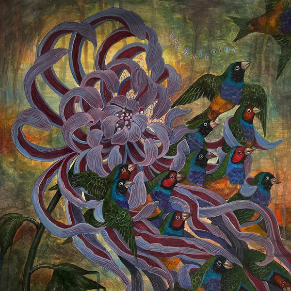 Covet - Technicolor (CD) - Velvet Music
