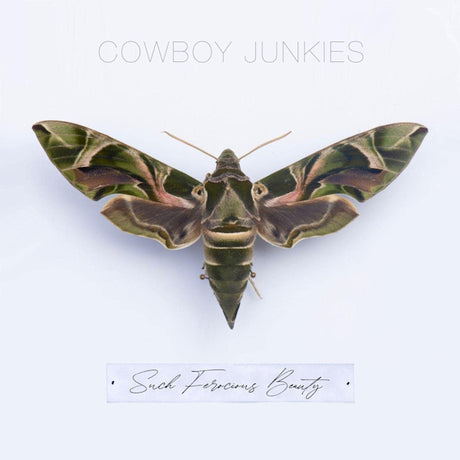 Cowboy Junkies - Such ferocious beauty (LP) - Velvet Music