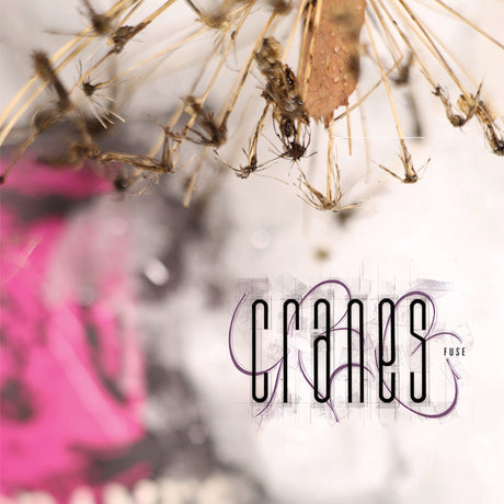 Cranes - Fuse (LP) - Velvet Music