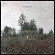 Damien Jurado - Saint bartlett (LP) - Velvet Music