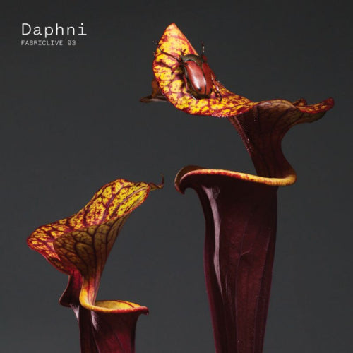 Daphni - Fabriclive 93 daphni (CD) - Velvet Music