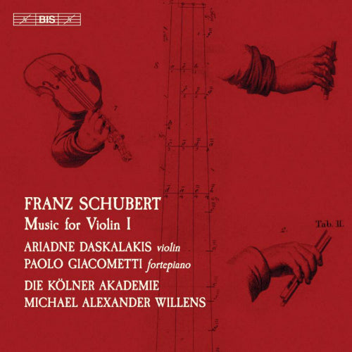 Franz Schubert - Music for violin 1 (CD)