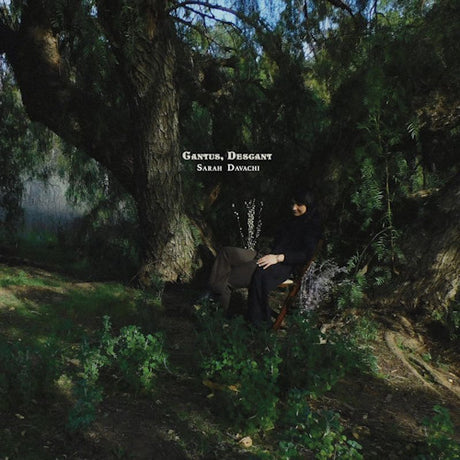 Sarah Davachi - Cantus, descant (CD) - Velvet Music