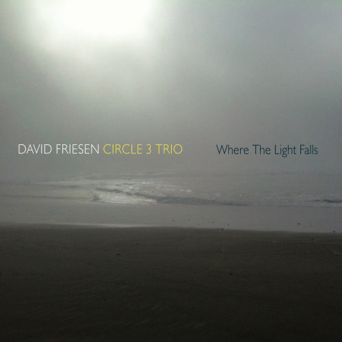 David Friesen -circle 3 Trio- - Where the lights fall (CD) - Velvet Music
