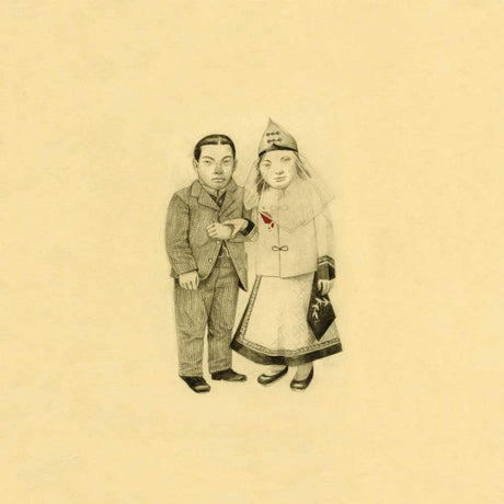 The Decemberists - The crane wife (LP) - Velvet Music