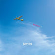 Deer Tick - Negativity (LP) - Velvet Music