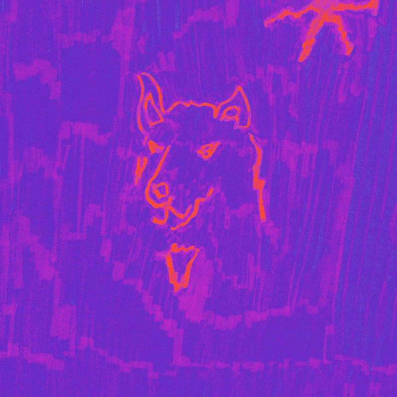 DEHD - Poetry (CD) - Velvet Music