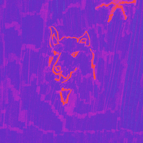 DEHD - Poetry (CD) - Velvet Music