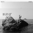 Delta Spirit - What is there (CD) - Velvet Music