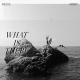Delta Spirit - What is there (CD) - Velvet Music
