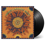 Dewolff & Metropole Orkest - Live at royal theatre carre, amsterdam (LP) - Velvet Music