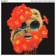 Di-rect - Rolling with the punches (LP) - Velvet Music