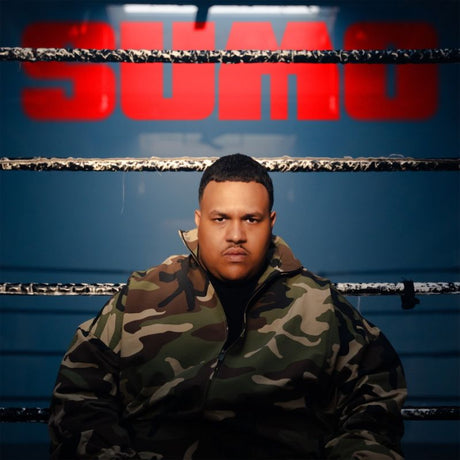 Dikke - Sumo (LP) - Velvet Music