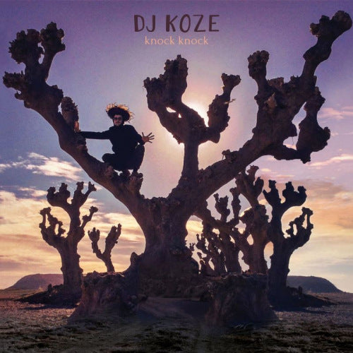 Dj Koze - Knock knock (LP) - Velvet Music