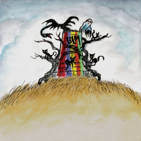 Drive-By Truckers - The new ok (CD)