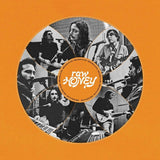 Drugdealer - Raw honey (LP)