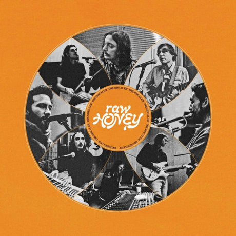 Drugdealer - Raw honey (LP)