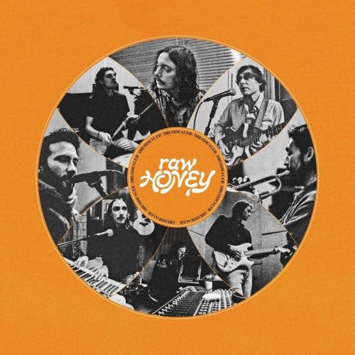Drugdealer - Raw honey (LP)