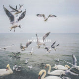 Dan Mangan - More or less (LP) - Velvet Music