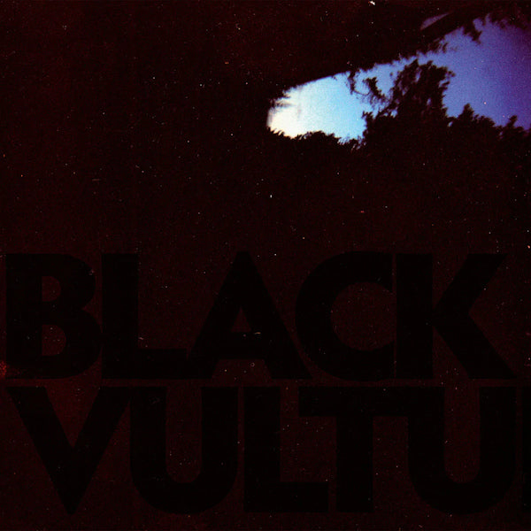 Daniel Norgren - Black vultures (LP) - Velvet Music
