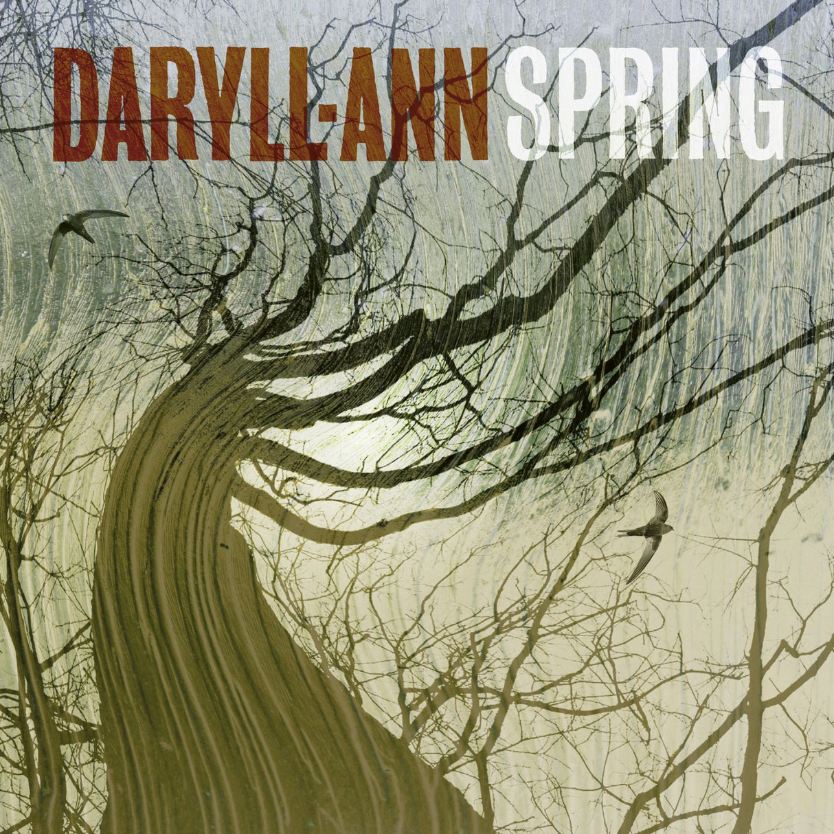 Daryll-Ann - Spring (CD)