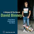 David Binney - A glimpse of the eternal (CD) - Velvet Music