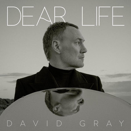 David Gray - Dear life (LP)