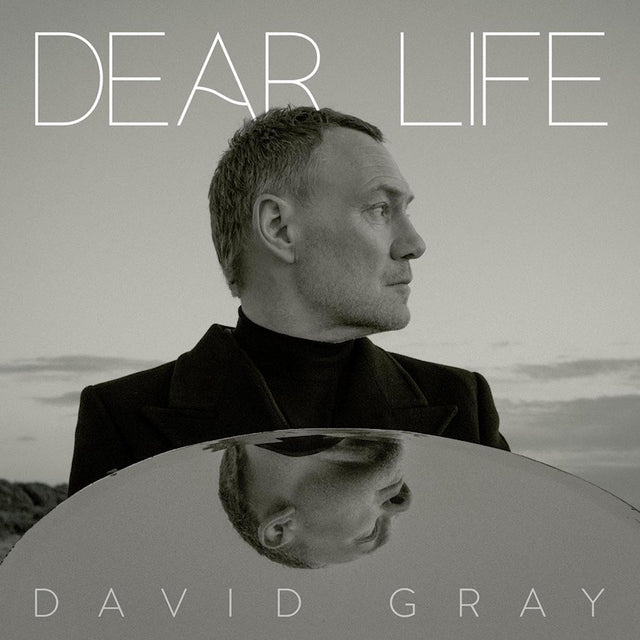 David Gray - Dear life (seaweed green vinyl) (LP) - Velvet Music