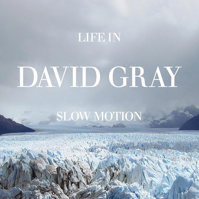 David Gray - Life in slow motion (20th ann. edition) (LP)