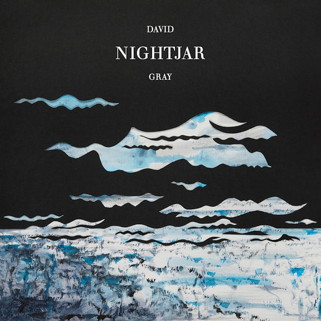 David Gray - Nightjar (LP) - Velvet Music