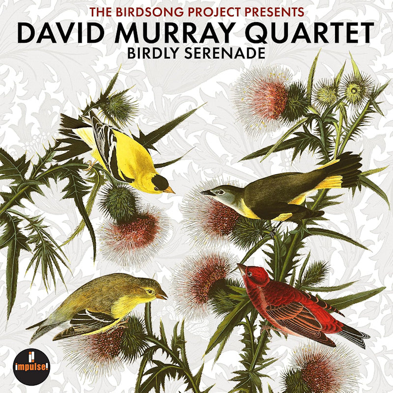 David Murray Quartet - Birdly serenade (LP) - Velvet Music