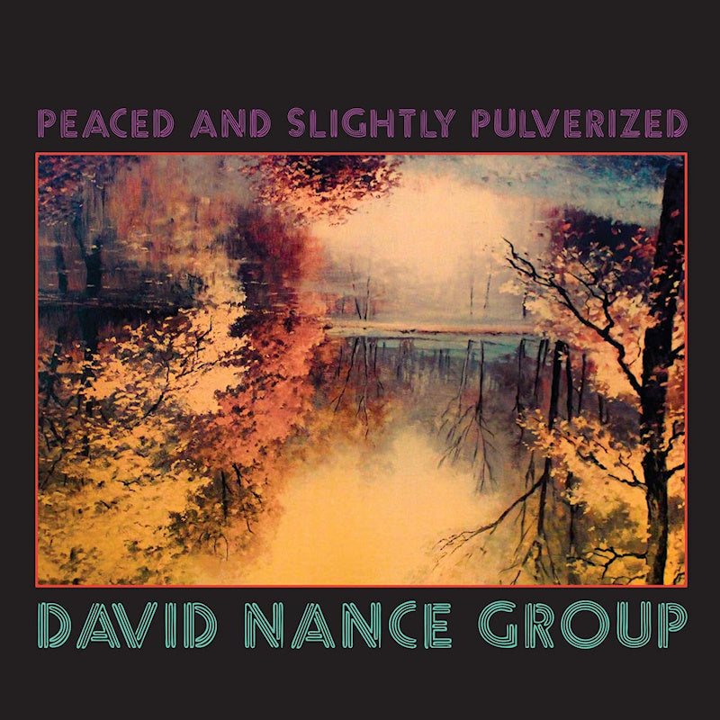 David Nance Group - Peaced and slightly pulverized (LP)