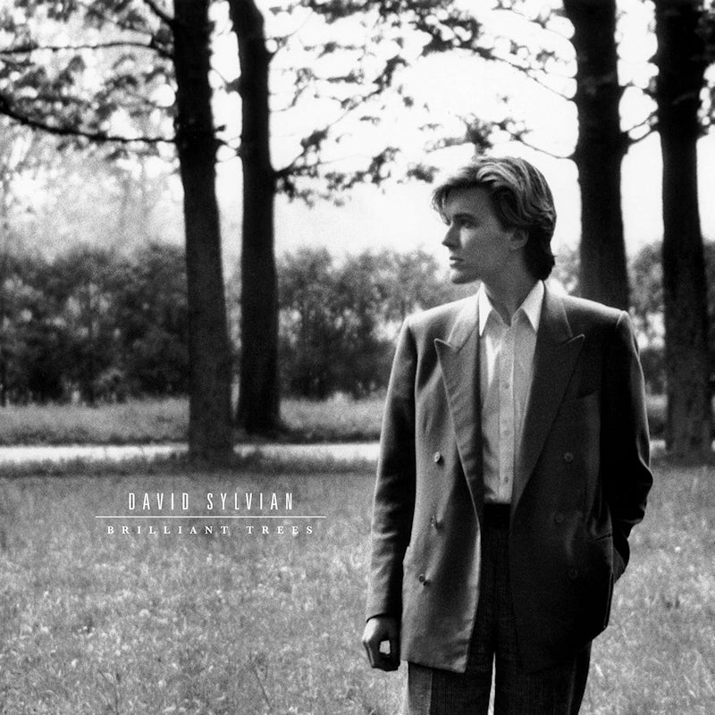 David Sylvian - Brilliant trees (LP) - Velvet Music