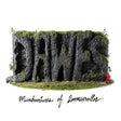 Dawes - Misadventures of doomscroller (CD) - Velvet Music