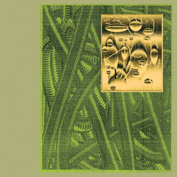 De Beren Gieren - Less is endless -coloured- (LP) - Velvet Music