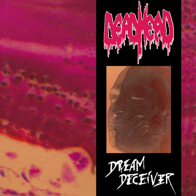 Dead Head - Dream deceiver (CD) - Velvet Music